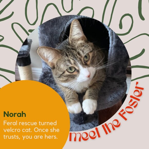 Meet the fosters! - Picture 11 of 15